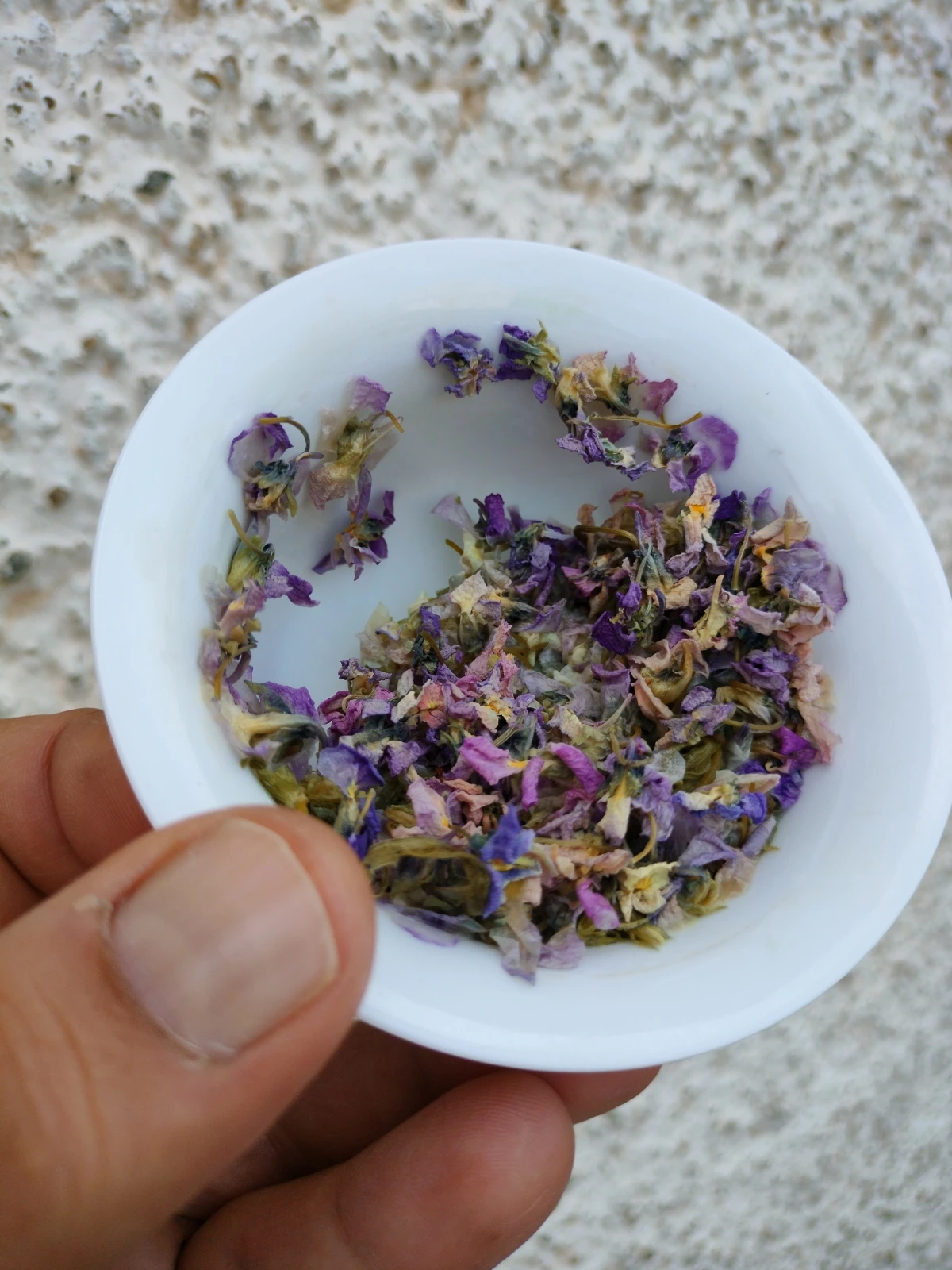 Getrocknete Veilchenblüten – Nahaufnahme