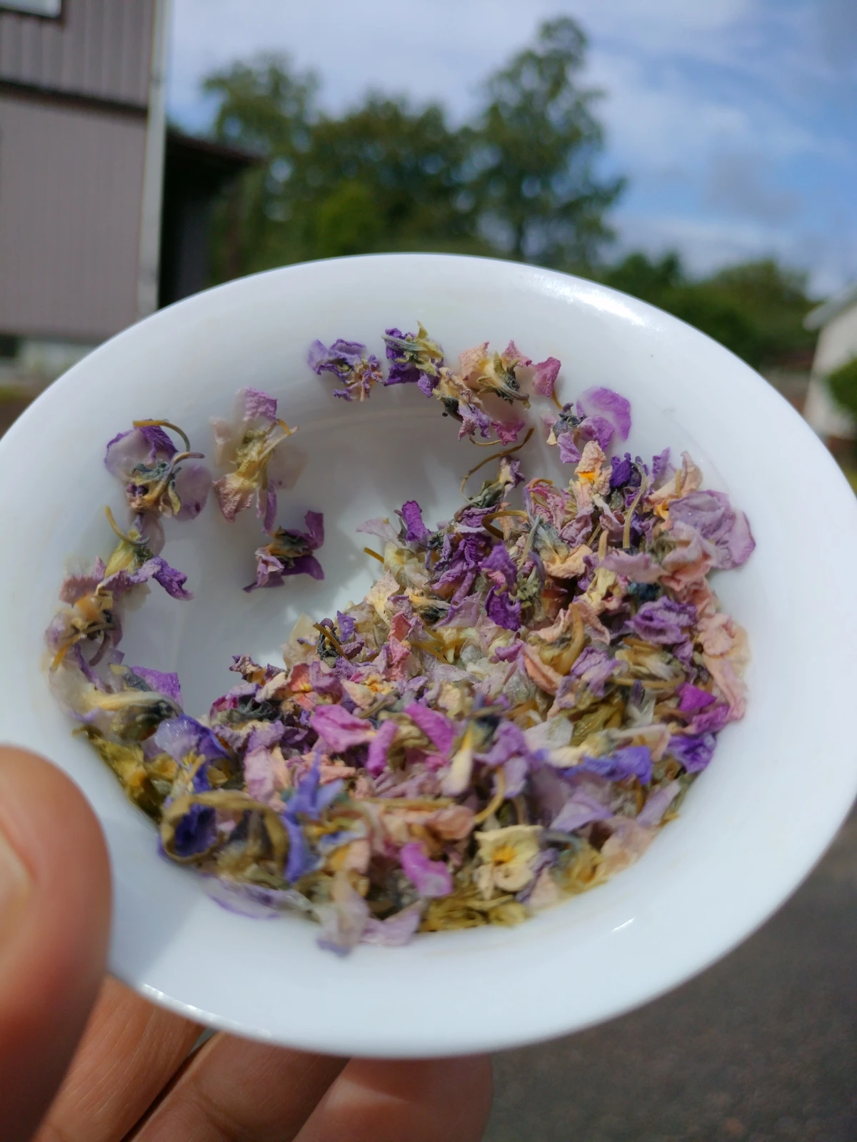 Aufgegossener Tee aus Veilchenblüten